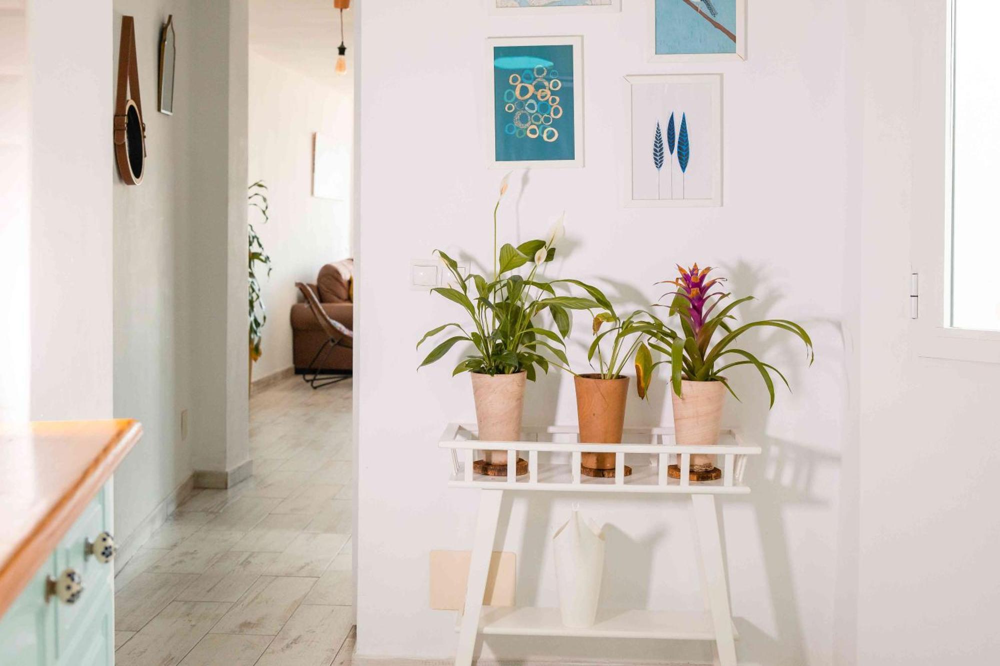 Appartement Atico Deluxe En El Centro By Lets Málaga
